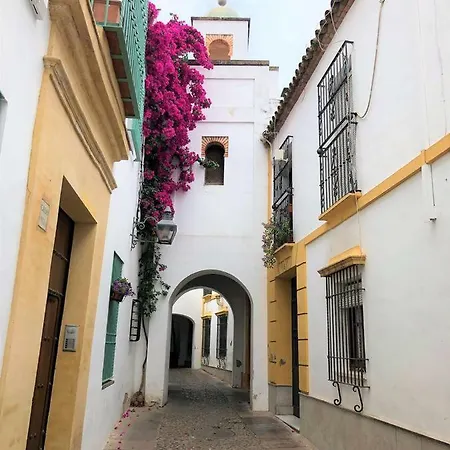 Apartment Entre 2 Mezquitas 8 Cordoba