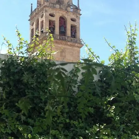 Apartment Entre 2 Mezquitas 8 Cordoba